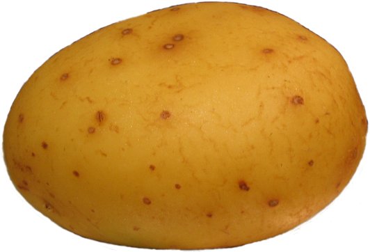 [Image: potato.jpg]